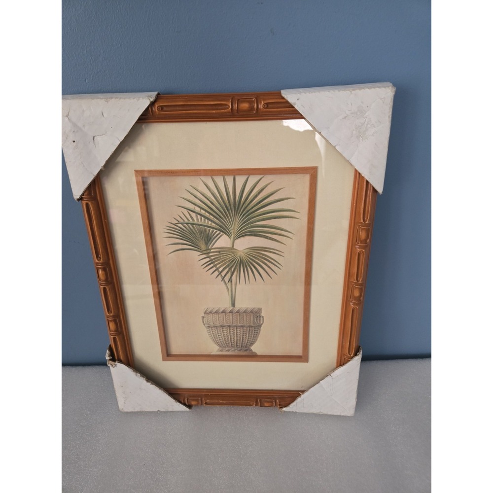 Bamboo Frame Potted Palm Framed Print Rattan Coastal Art New